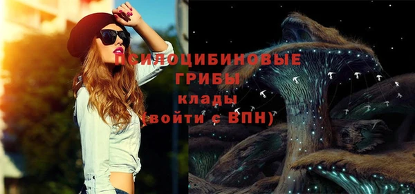 прущие крисы Абинск