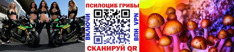Псилоцибиновые грибы ЛСД Тула