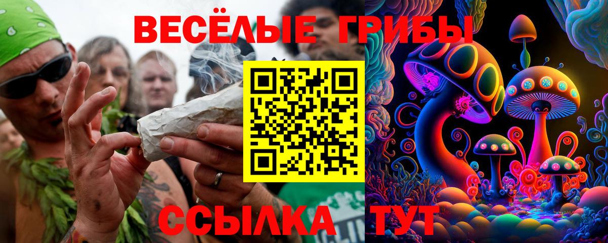 Тула  Галлюциногенные грибы Psilocybine cubensis  Галлюциногенные грибы прущие грибы  Вход с VPN 